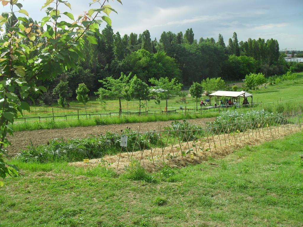 Agriturismo Case Mori Rimini Kültér fotó